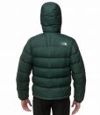The North Face Argento Down Jacket Noah Green