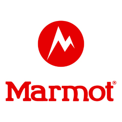 Marmot