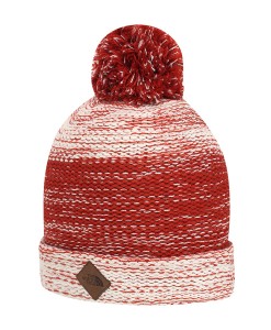 The North Face Grinbriar Beanie 02