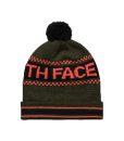 The North Face Ski Tuke IV Beanie Forest Night Green T02