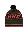 The North Face Ski Tuke IV Beanie Forest Night Green T02